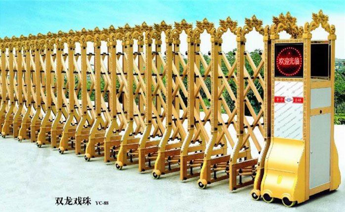 钛金(jīn)雙龍戲珠伸縮門(mén)